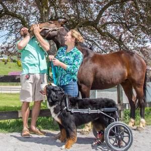 Meet your Posher, Anna